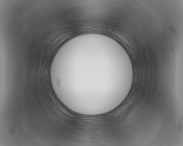 X0000112480325200908171018