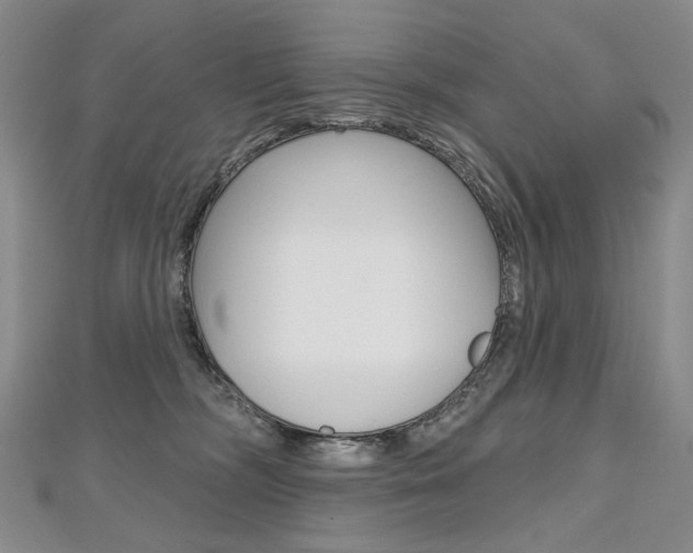 X0000112480326200908171018
