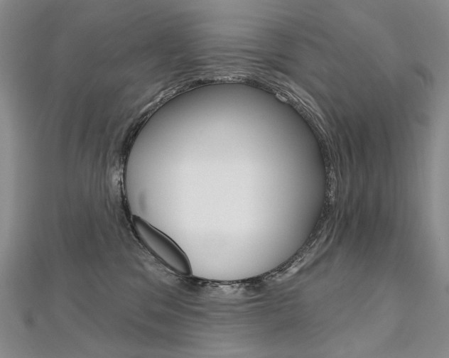 X0000112480329200908171018