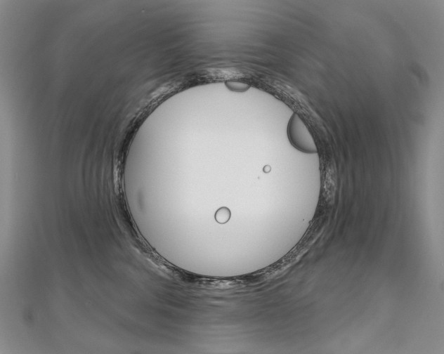 X0000112480330200908171017