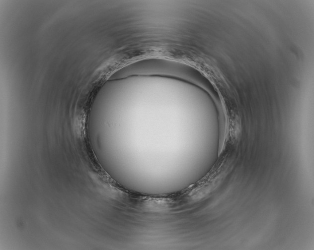 X0000112480332200908171017