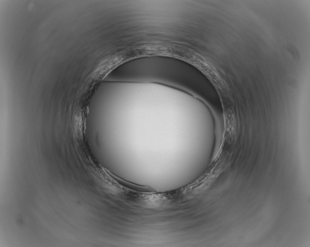 X0000112480333200908171017