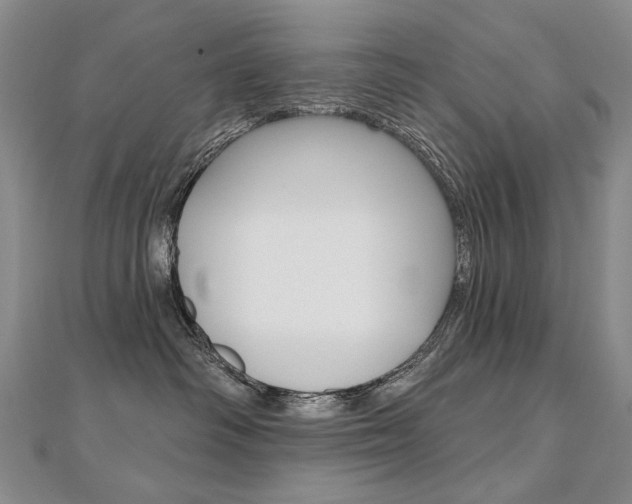 X0000112480334200908171017