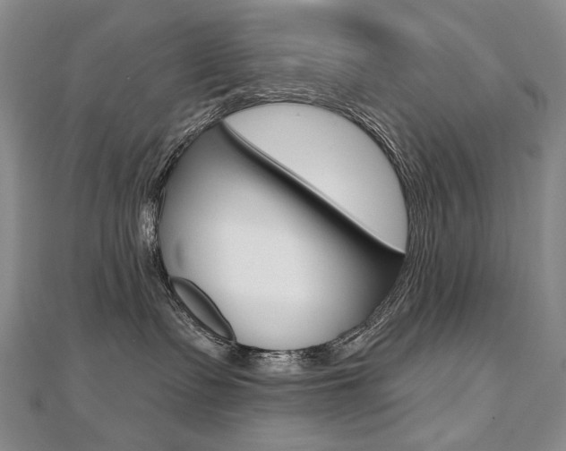 X0000112480335200908171017