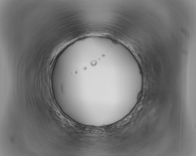 X0000112480337200908171017