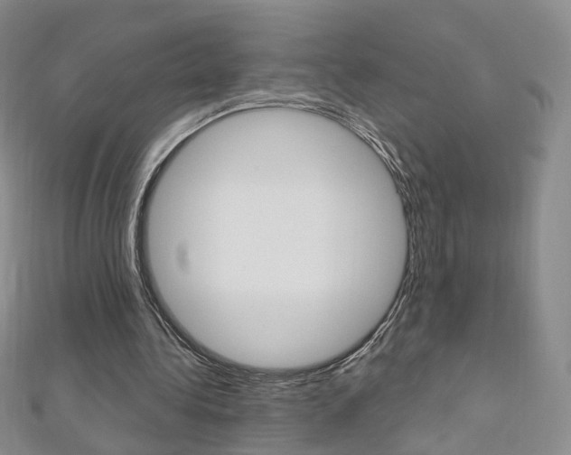 X0000112480340200908171017