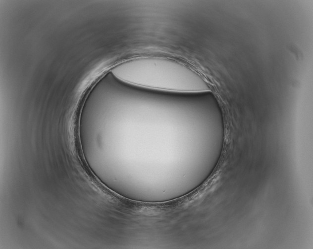 X0000112480341200908171017