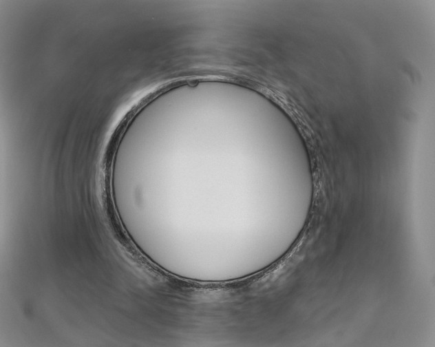 X0000112480342200908171017