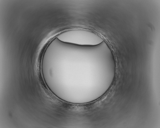 X0000112480343200908171017