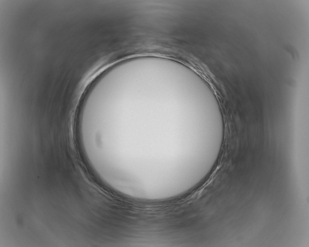 X0000112480344200908171017