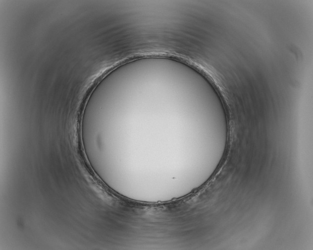 X0000112480345200908171017