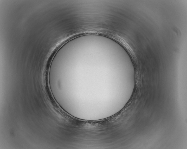 X0000112480346200908171017
