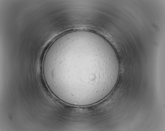 X0000112480347200908171017