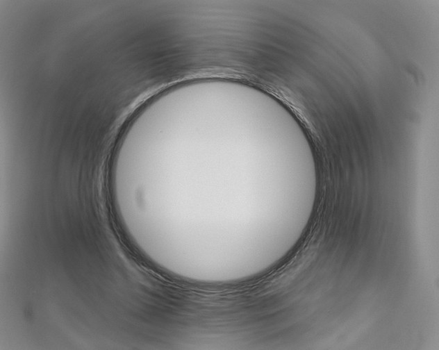 X0000112480348200908171017