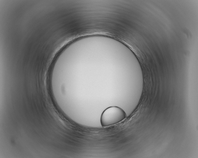 X0000112480350200908171017