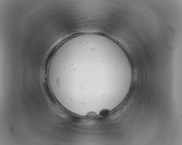 X0000112480351200908171017