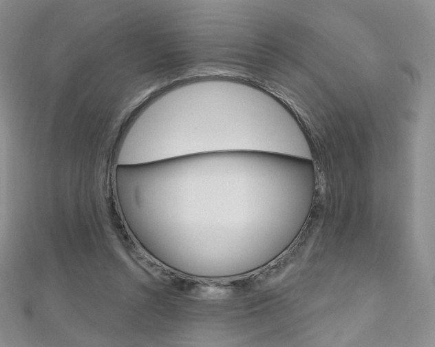 X0000112480352200908171017