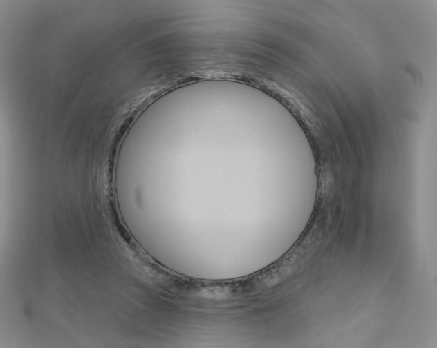 X0000112480353200908171017