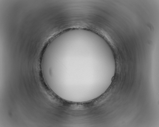 X0000112480354200908171017