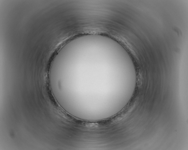 X0000112480355200908171017