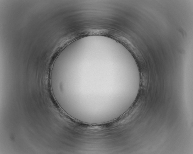 X0000112480357200908171017
