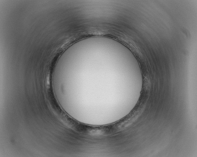 X0000112480358200908171017