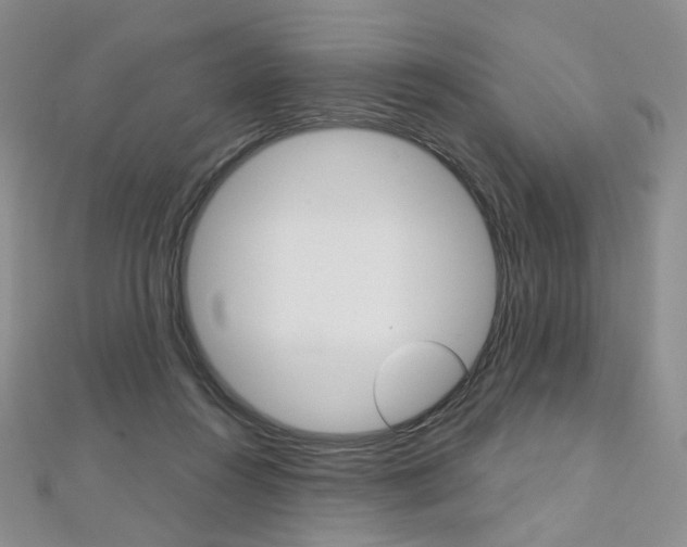 X0000112480360200908171017