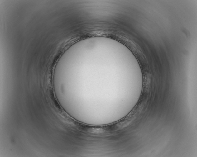 X0000112480361200908171017