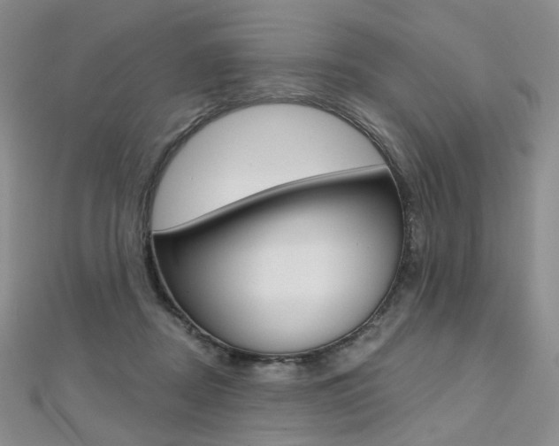 X0000112480362200908171017