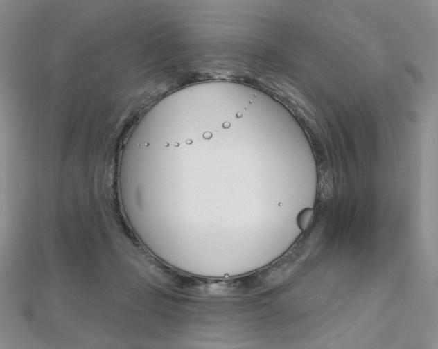 X0000112480365200908171017