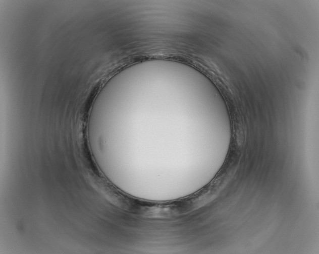 X0000112480366200908171017