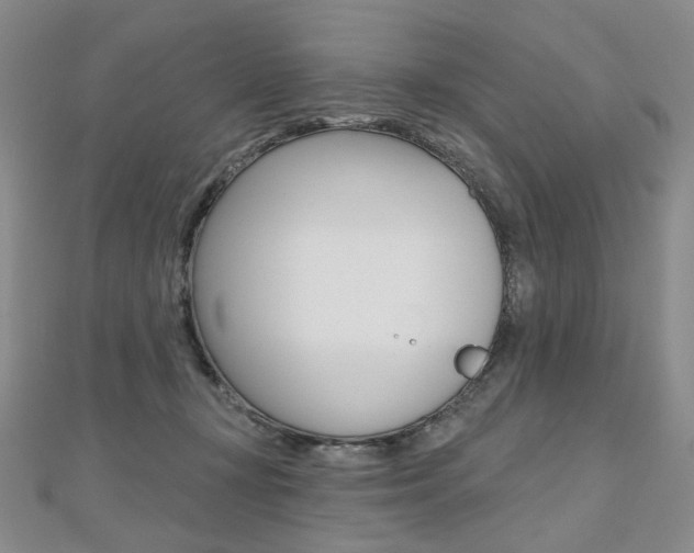 X0000112480367200908171017