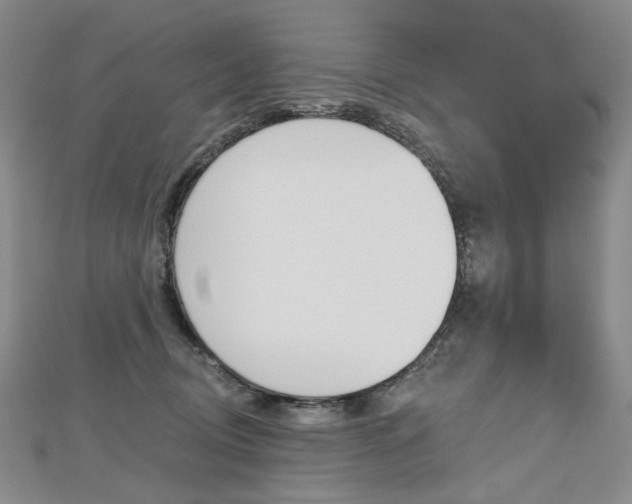 X0000112480370200908171017