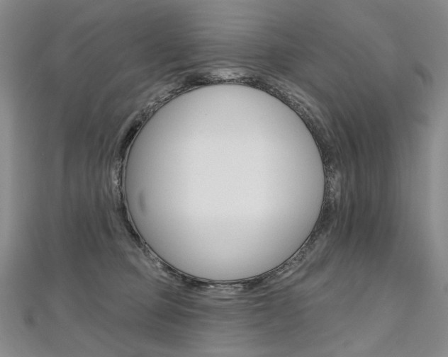 X0000112480373200908171017
