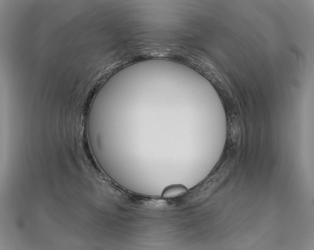 X0000112480374200908171017