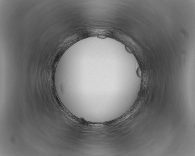 X0000112480377200908171017