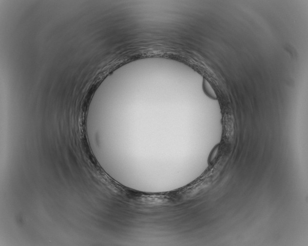 X0000112480378200908171017