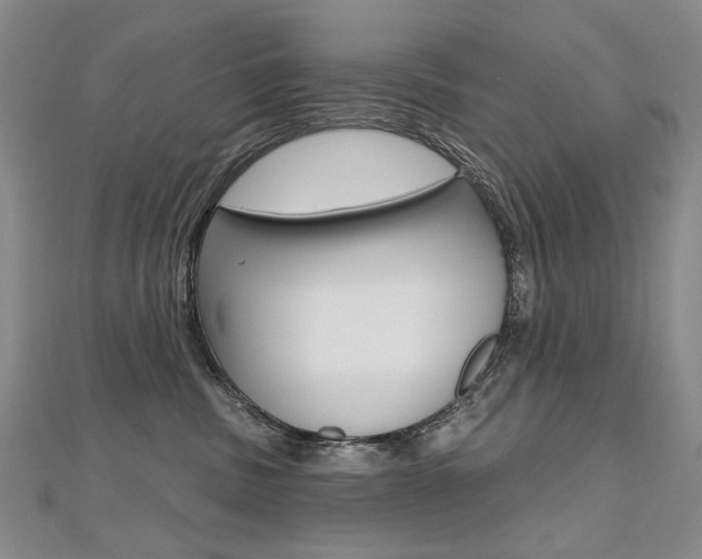 X0000112480379200908171017