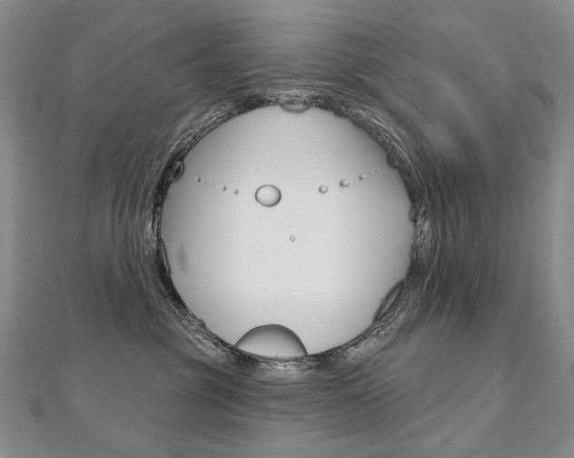 X0000112480381200908171017