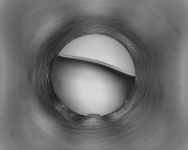X0000112480382200908171017