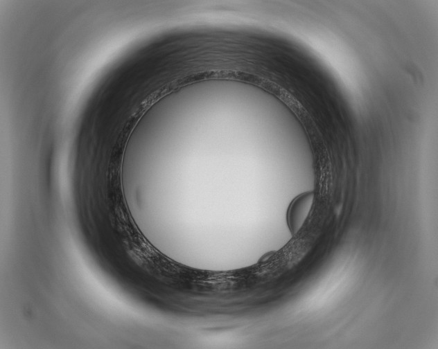X0000112480383200908171017
