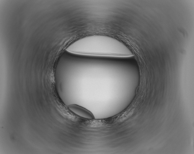 X0000112480384200908171017