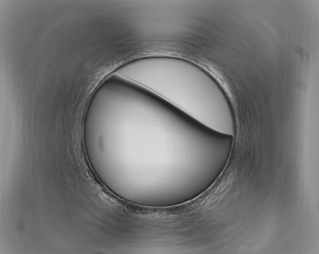 X0000112480385200908171017
