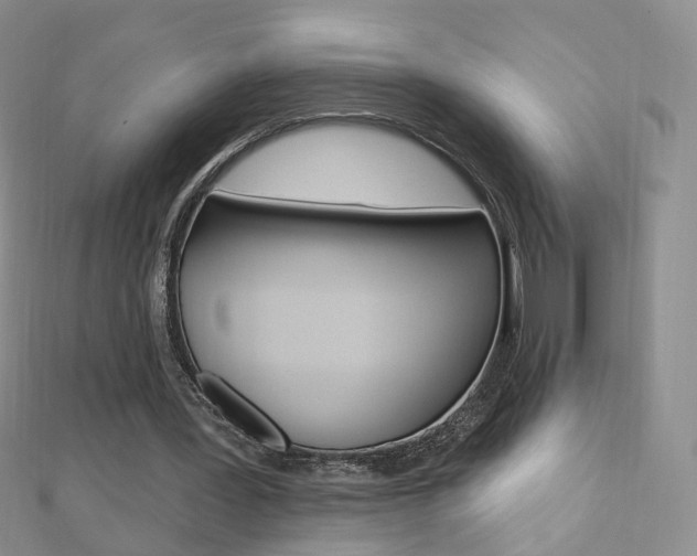 X0000112480387200908171017