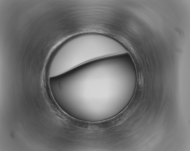 X0000112480388200908171017
