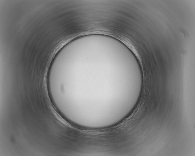 X0000112480389200908171017
