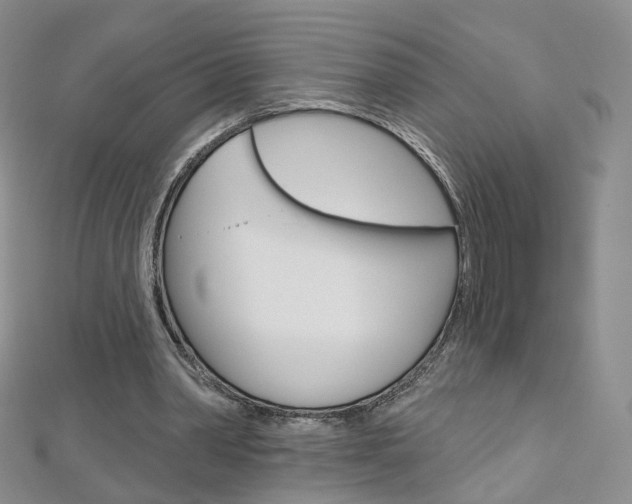 X0000112480390200908171017