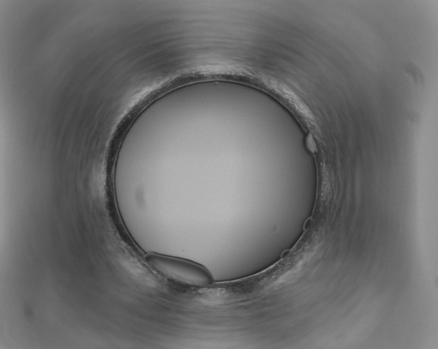 X0000112480391200908171017