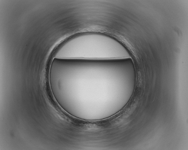 X0000112480392200908171017