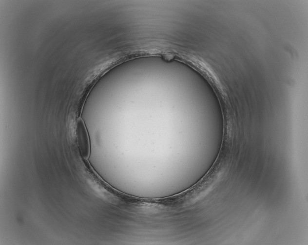 X0000112480393200908171017